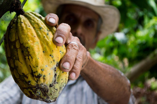 Cacao Cru  Le Superaliment du Bonheur  Propriétés, Bienfaits et Dosage Idéal