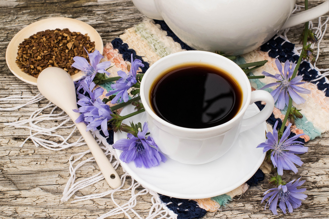 Chicorée ou Café : Quelle est la meilleure alternative ?