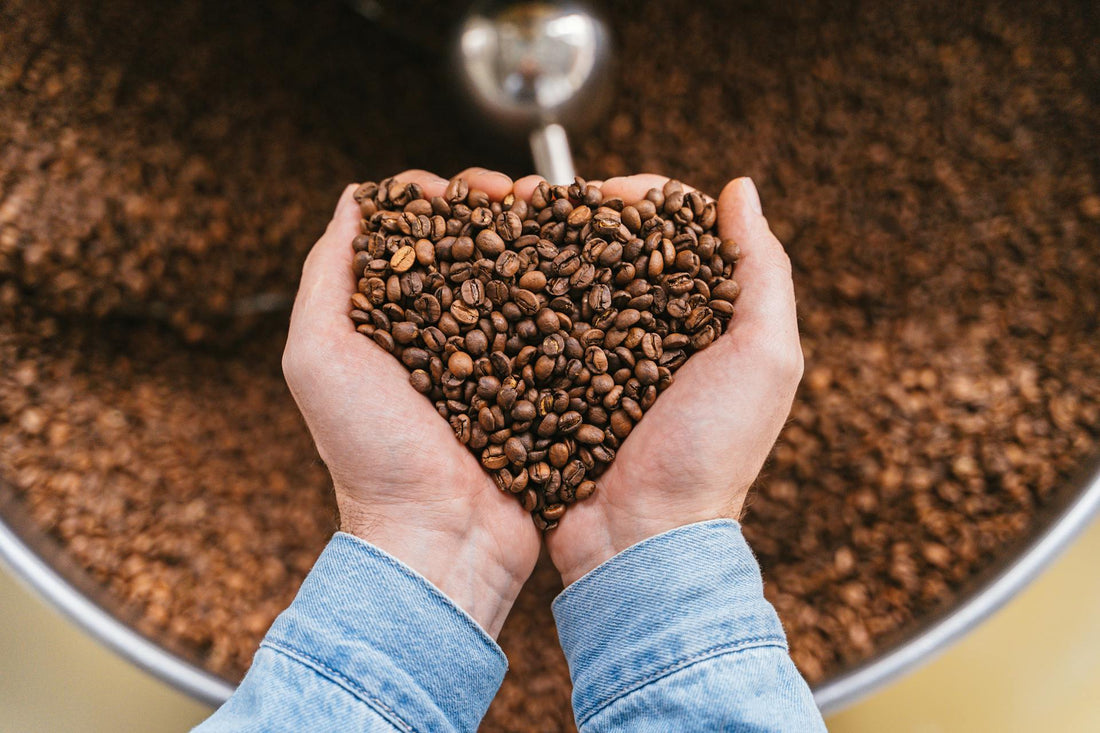 La chicorée  l’alternative au café qui prend soin de votre digestion