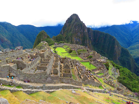 Maca des Andes  Le Secret des Incas pour l'Énergie et l'Équilibre Hormonal