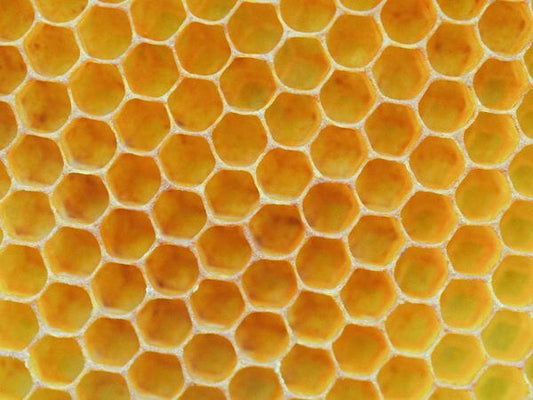 Les pouvoirs de la propolis contre l’acné